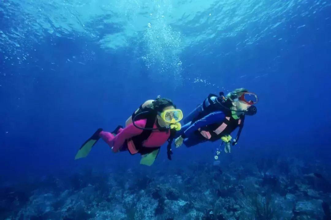 潍坊有野生猴子吗？-机智问答，涵盖知识百科、悬疑解谜等多领域问题解答